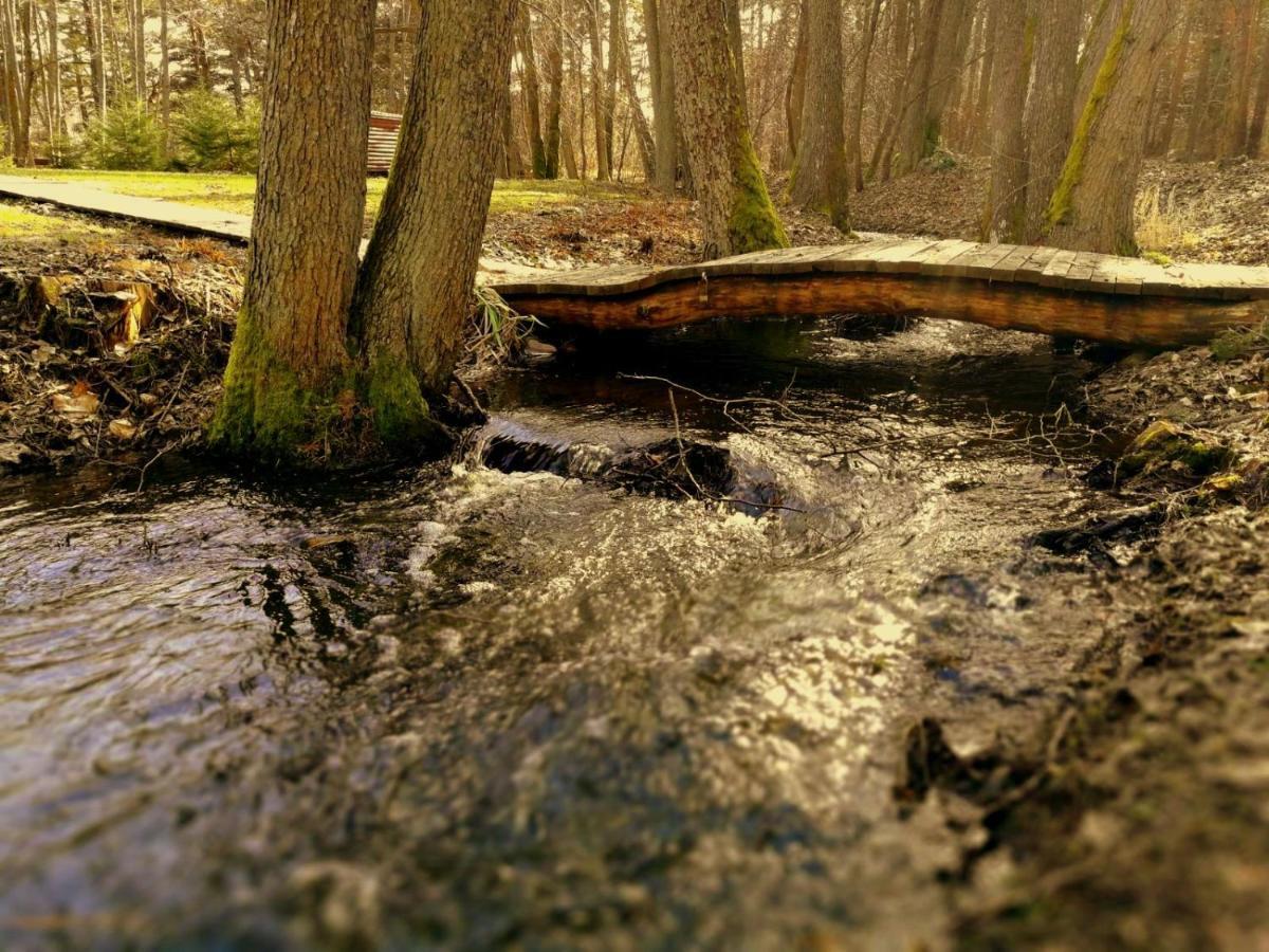 Vejciems Villa Liepene Eksteriør billede